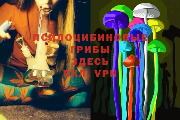 мяу мяу мука Алексеевка