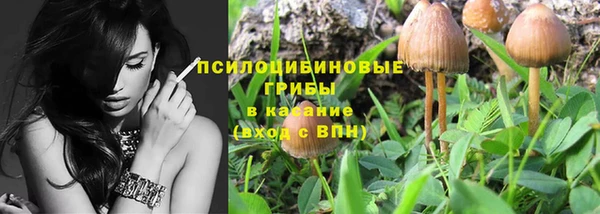 крисы Алзамай