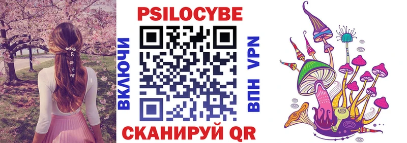 Псилоцибиновые грибы мицелий  Стародуб 